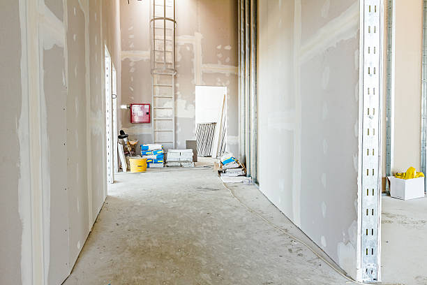 Best Drywall Repair  in Crookston, MN